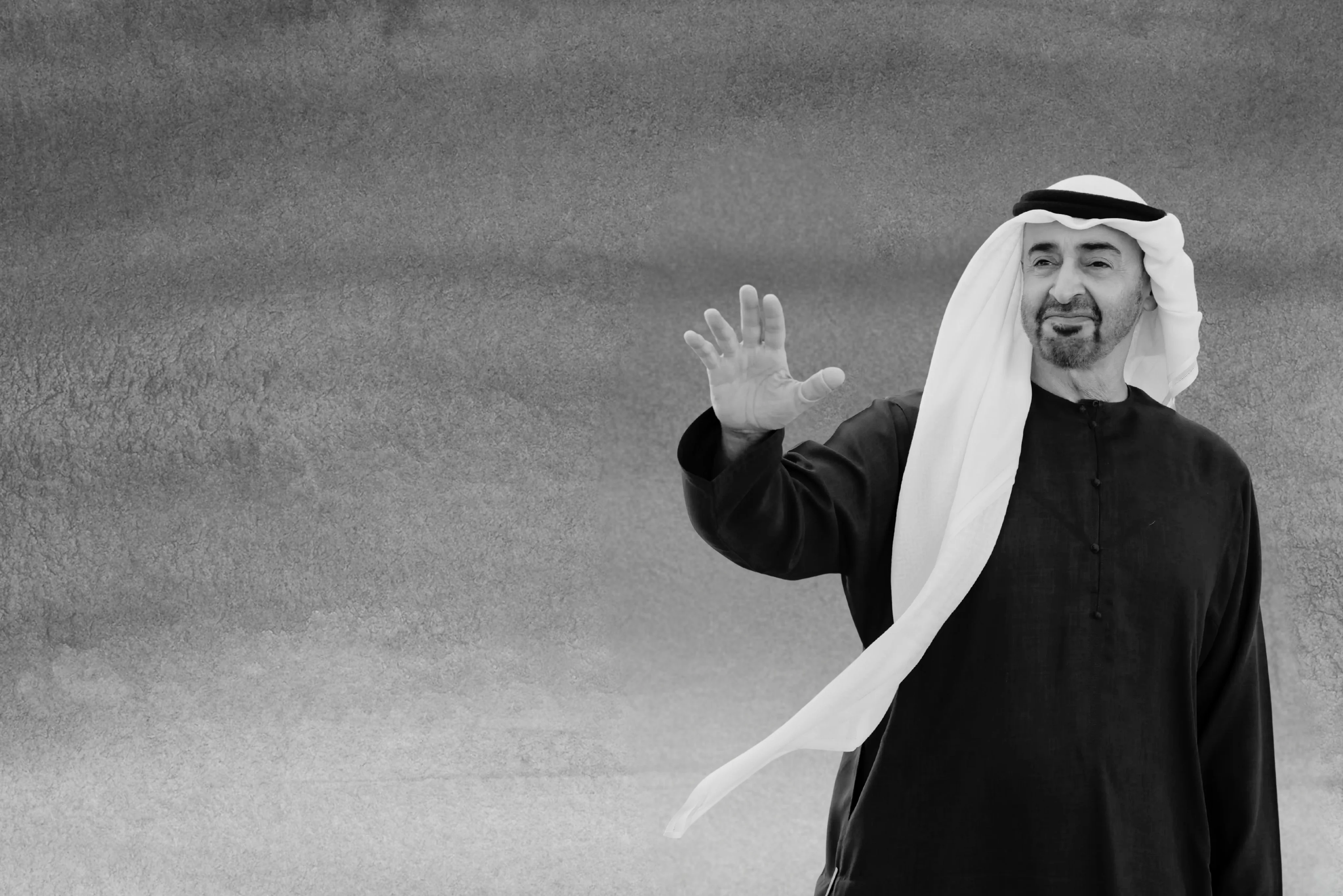H.H. Sheikh Mohamed bin Zayed Al Nahyan 