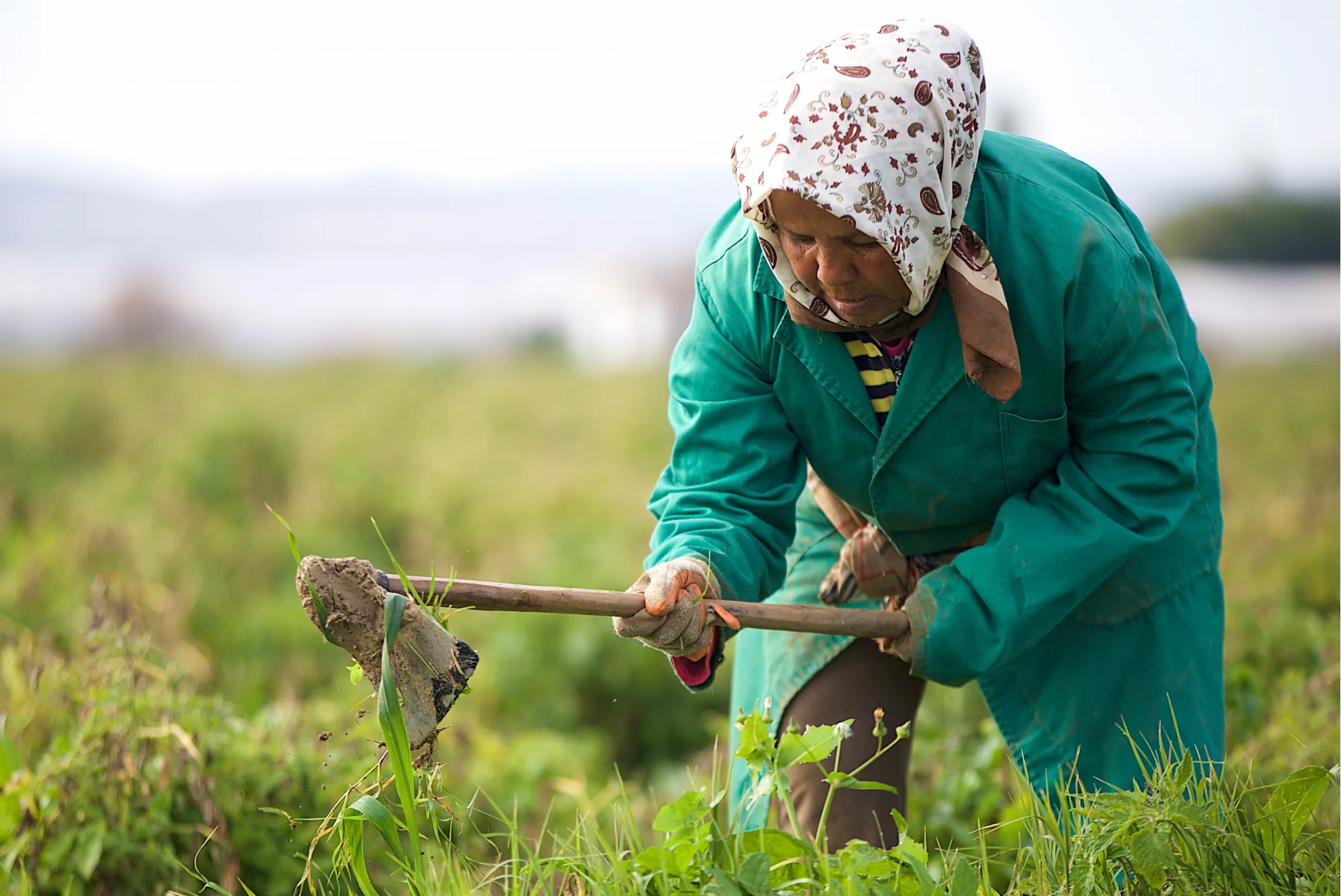 Woman working in agriculture in Jordan